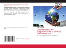 Caracterización y diagnóstico de la calidad del sedimento kitap kapağı