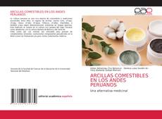 ARCILLAS COMESTIBLES EN LOS ANDES PERUANOS kitap kapağı