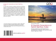 El Gavilán Caracolero en Sancti Spíritus, Cuba kitap kapağı