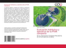 Evaluación hidráulica y operativa de la PTAR compacta的封面