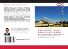Calidad de la potencia eléctrica y micro redes kitap kapağı