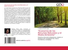 Buchcover von "Economía de los Recursos Naturales y el Medio Ambiente”