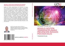 MODELO GESTIÒN TRANSDISCIPLINARIO PREVENCIÒN RIESGOS PSICOSOCIALES kitap kapağı