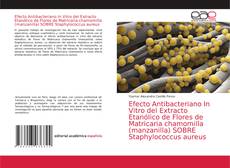 Efecto Antibacteriano In Vitro del Extracto Etanólico de Flores de Matricaria chamomilla (manzanilla) SOBRE Staphylococcus aureus kitap kapağı