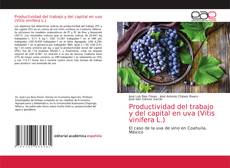 Обложка Productividad del trabajo y del capital en uva (Vitis vinifera L.)