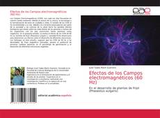 Efectos de los Campos electromagnéticos (60 Hz) kitap kapağı