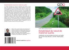 Estabilidad de talud de material suelto的封面