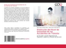 Predicción del Nivel de Gravedad de los Accidentes de Tránsito kitap kapağı