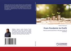 Copertina di From Pandemic to Profit