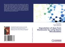 Copertina di Degradation of dyes from Wastewater by using Ozone Microbubbles