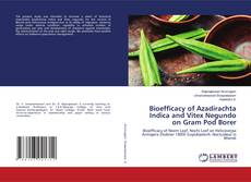 Buchcover von Bioefficacy of Azadirachta Indica and Vitex Negundo on Gram Pod Borer