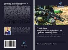 Copertina di Collectieve veiligheidsuitdagingen in het Tsjaadse bekkengebied