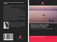 Bookcover of Setté Cama Ramsar Site (Sudoeste do Gabão)