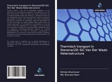 Обложка Thermisch transport in Stanene/2D-SiC Van Der Waals Heterostructure