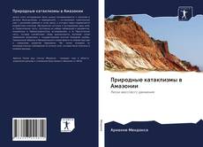 Bookcover of Природные катаклизмы в Амазонии