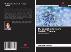 Capa do livro de M. Castells Network Society Theory 