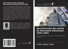 Copertina di Revivificación del muelle de Newcastle Gateshead (Sitio GQII)