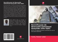 Bookcover of Revivificação de Newcastle Gateshead Quayside (Site GQII)