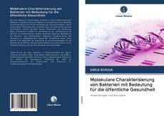 Bookcover of Molekulare Charakterisierung von Bakterien mit Bedeutung für die öffentliche Gesundheit