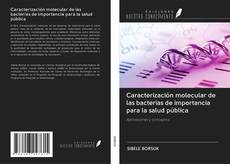 Buchcover von Caracterización molecular de las bacterias de importancia para la salud pública