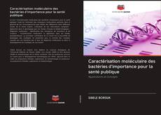 Bookcover of Caractérisation moléculaire des bactéries d'importance pour la santé publique