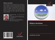Capa do livro de Miejsce docelowe 