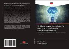 Bookcover of Système phyto-électrique : le plus grand système de commande de l'eau
