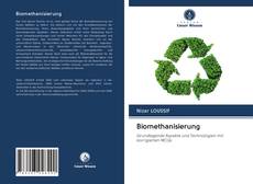 Buchcover von Biomethanisierung