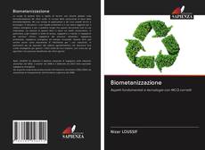 Bookcover of Biometanizzazione
