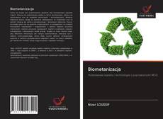Biometanizacja的封面