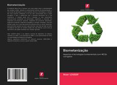 Biometanização kitap kapağı