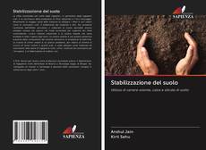 Capa do livro de Stabilizzazione del suolo 