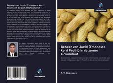 Bookcover of Beheer van Jassid (Empoasca kerri Pruthi) in de zomer Groundnut