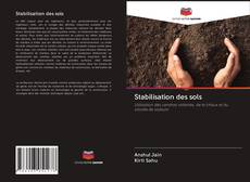 Buchcover von Stabilisation des sols