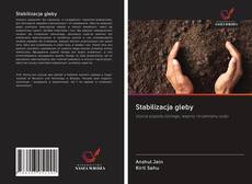 Borítókép a  Stabilizacja gleby - hoz