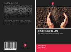 Bookcover of Estabilização do Solo
