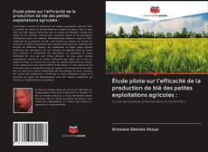 Buchcover von Étude pilote sur l'efficacité de la production de blé des petites exploitations agricoles :