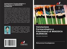 Bookcover of Valutazione Farmacologica e Fitochimica di BRASSICA OLERACEA