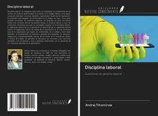 Disciplina laboral kitap kapağı