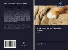 Bookcover of Boek van Process Control in Breien