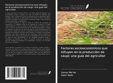 Buchcover von Factores socioeconómicos que influyen en la producción de caupí: una guía del agricultor