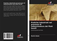 Bookcover of Pratiche industriali nel processo di imbozzimatura dei filati tessili