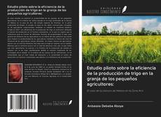 Buchcover von Estudio piloto sobre la eficiencia de la producción de trigo en la granja de los pequeños agricultores: