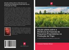 Bookcover of Estudo-piloto sobre a Eficiência da Fazenda de Pequenos Proprietários na Produção de Trigo: