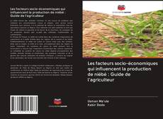 Portada del libro de Les facteurs socio-économiques qui influencent la production de niébé : Guide de l'agriculteur