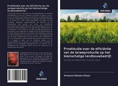 Copertina di Proefstudie over de efficiëntie van de tarweproductie op het kleinschalige landbouwbedrijf: