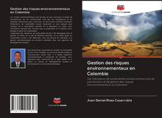 Portada del libro de Gestion des risques environnementaux en Colombie