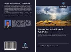 Copertina di Beheer van milieurisico's in Colombia