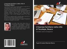 Bookcover of L'impresa familiare nella città di Teustepe, Boaco
