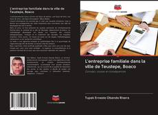 Bookcover of L'entreprise familiale dans la ville de Teustepe, Boaco